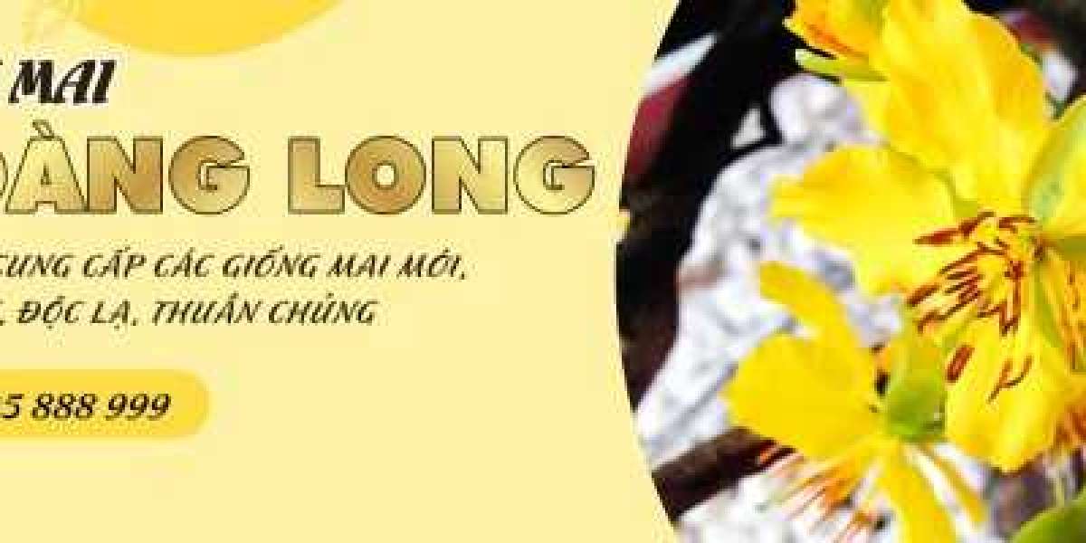 Hoàng Mai Huế Đẹp Bên Dòng Sông Hương