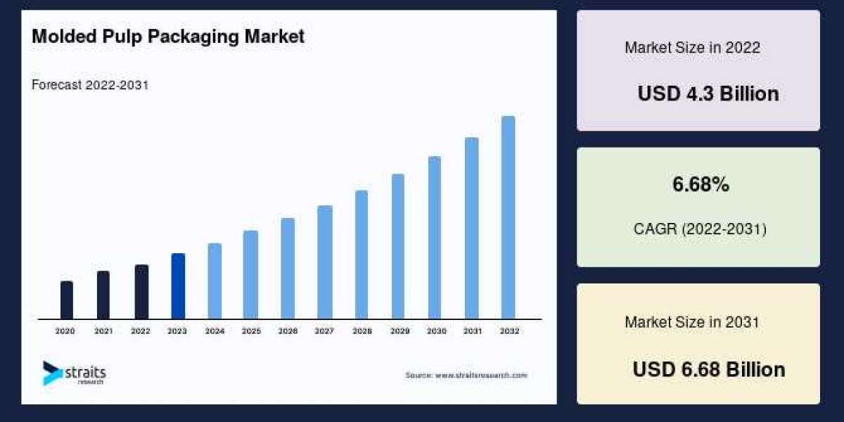 Global Molded Pulp Packaging Market Insights: Key Trends, Growth Drivers, and Forecast 2024-2032