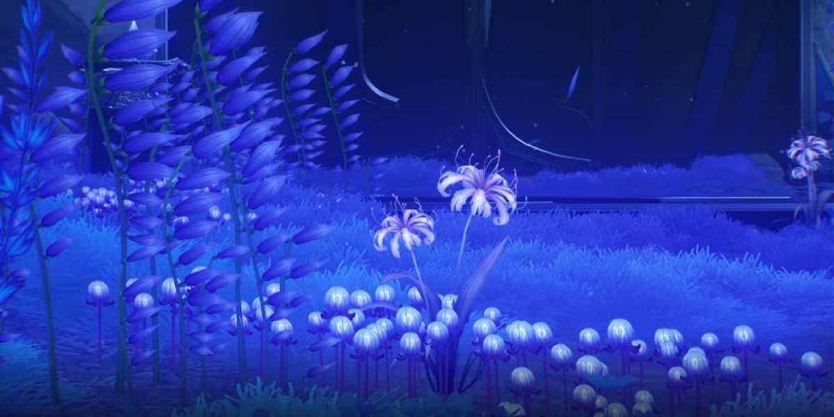 Afterlife Zones in WuWa – Key Locations & Farming Tips