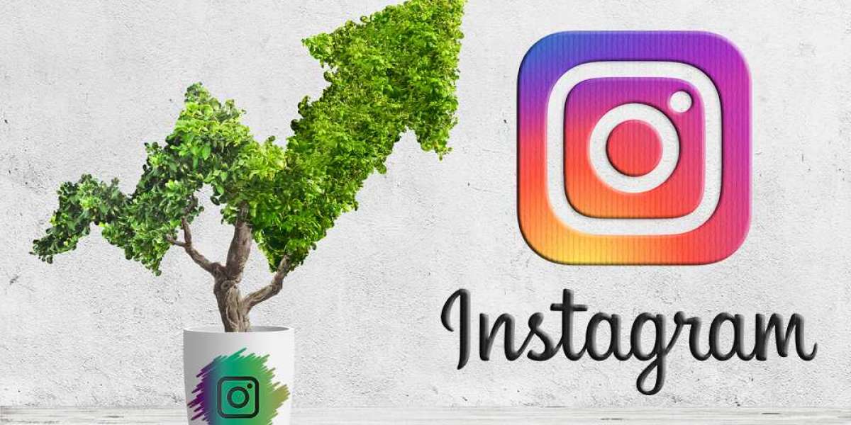 What Experts Think About Proflup - Instagram profile growth?