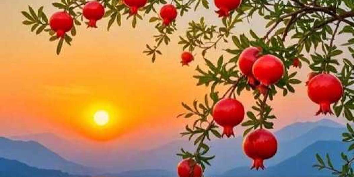 Reacts Study achievement: Jaguars enthusiasts established lofty specifications for Brian Thomas Jr. within just 2025