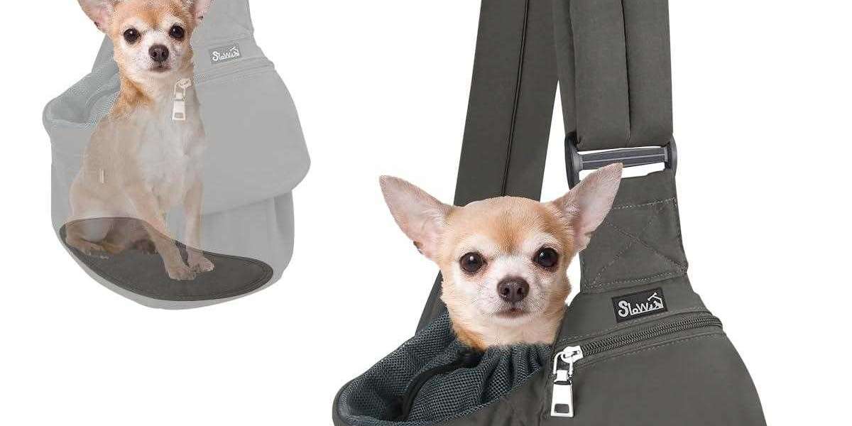 What Makes Pawtechpet Pet Carriers a Symbol of Trust