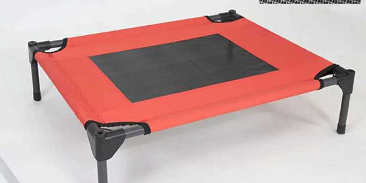 Adventure-Ready Comfort: Why the Pet Military Bed Belongs in Your Car and Campsite