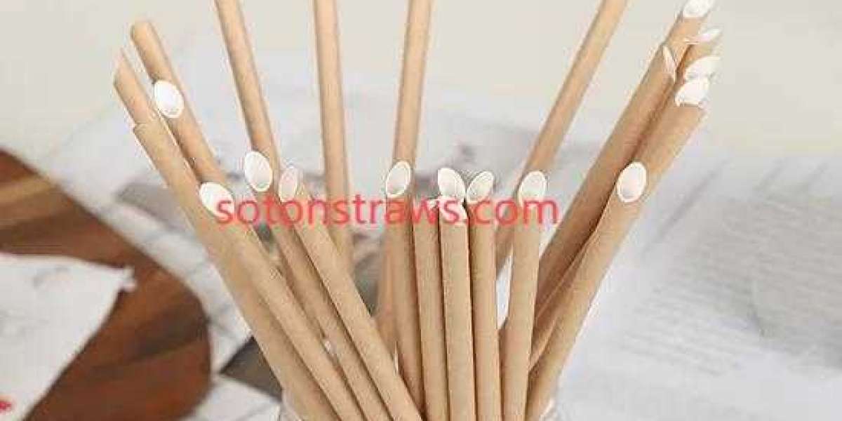 Sourcing Transparency Within a Soton Paper Straws Manufactory Process