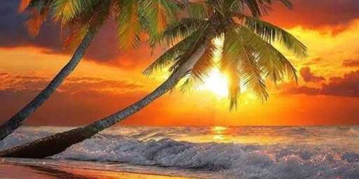 Activity RECAP: Aaliyah Nyes Occupation-Higher 16 Information, Aja Wilsons 26 Facts, 18 Forums Guide Aces Over and above