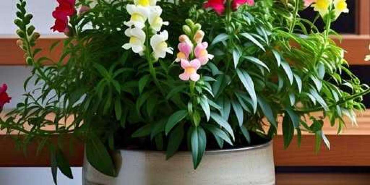 Cowboys pre-doing exercises camp novice projection: LB Shemar James