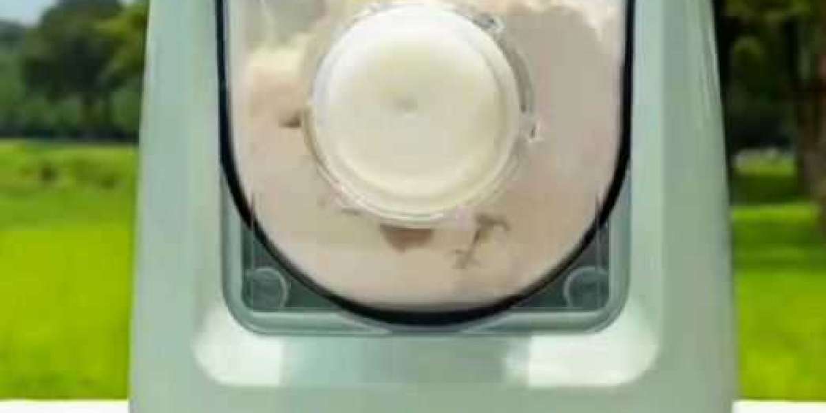 Why Chefs and Home Cooks Trust Haiou Electric Pasta Machines