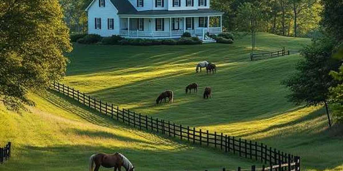 The competitive vanity of the mediocre