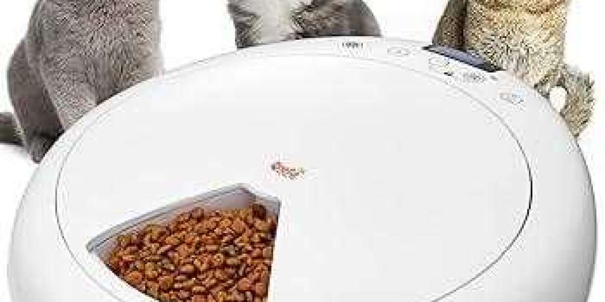 Pawtechpet Pet Feeder: Modern Design for Homes