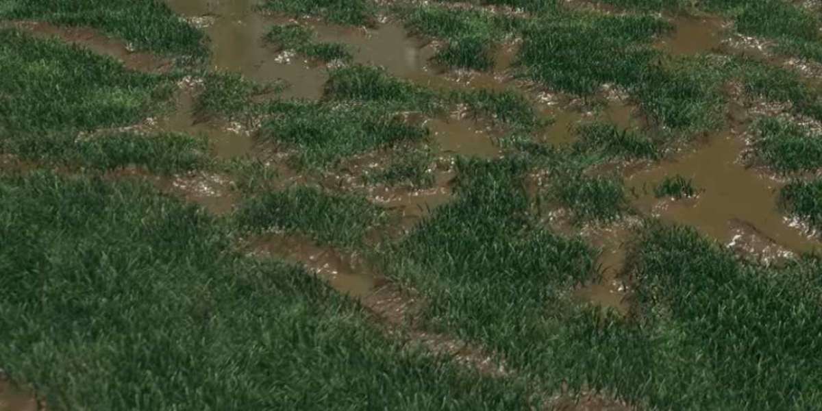 MMOEXP-Pro Player Settings: The Best FC 26 Controller Setup for Meta Play