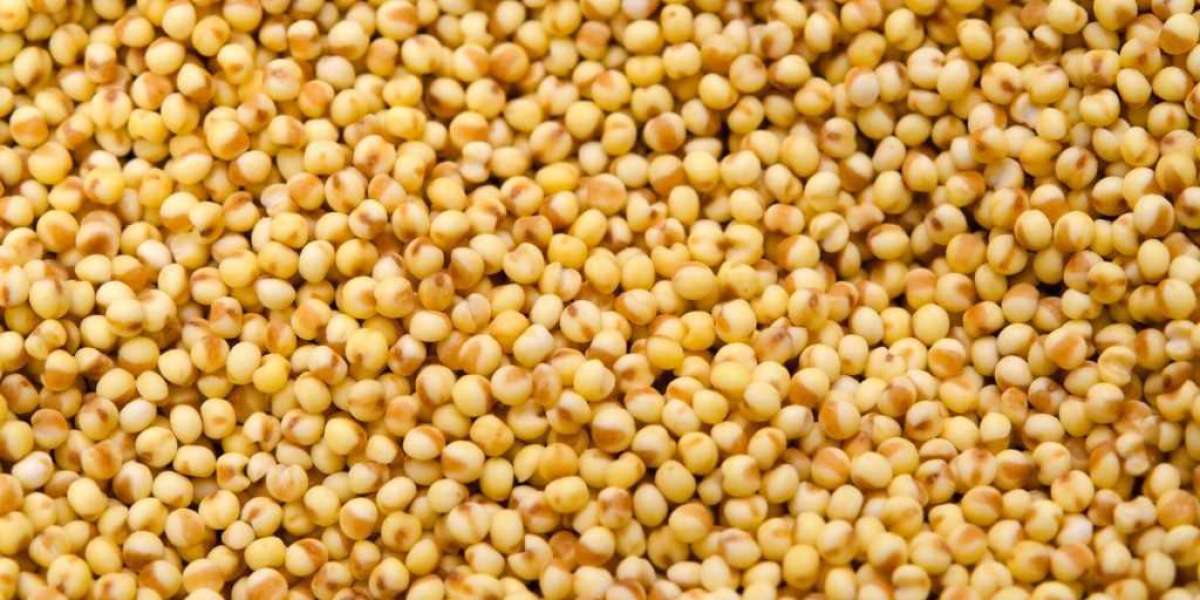 What This Grain Is And Why Foxtail Millet Are Considered Superfoods