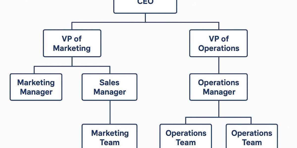 Understanding the Power of an “Org Chart Amazon”: What It Reveals and Why It Matters