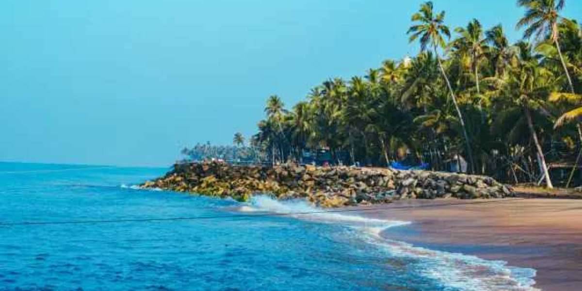 Best Kerala Packages for First-Time Travellers | Kerala Trip Package