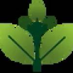 gramiti Profile Picture