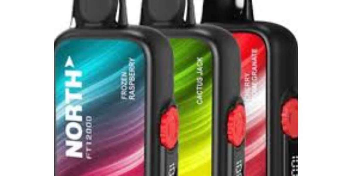 North FT12000 Review – Updated North Vape Price & Flavor Options