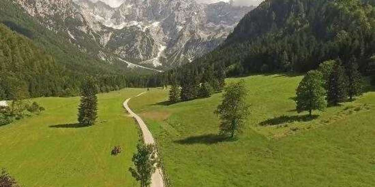 I 'd never Paid a Bill up until my Divorce At 57!