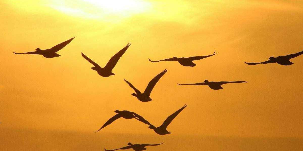 Cold Like the Frog! Dbacks 5, Dodgers 4