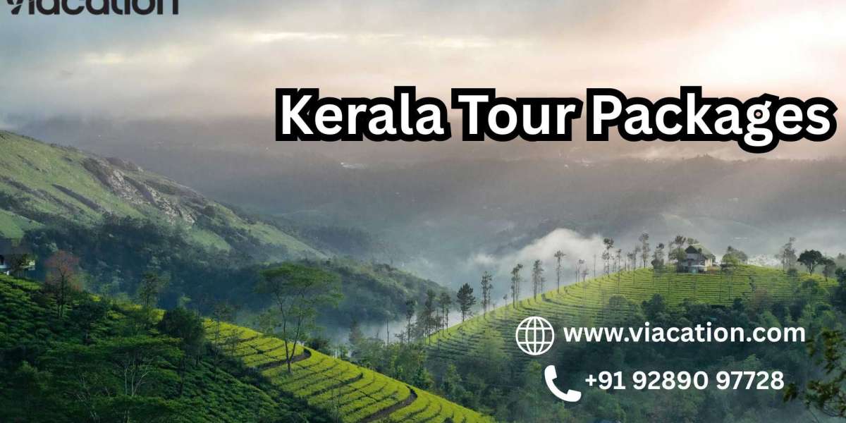 Which Kerala Tour Package Is Best for a Peaceful and Stress-Free Vacation?