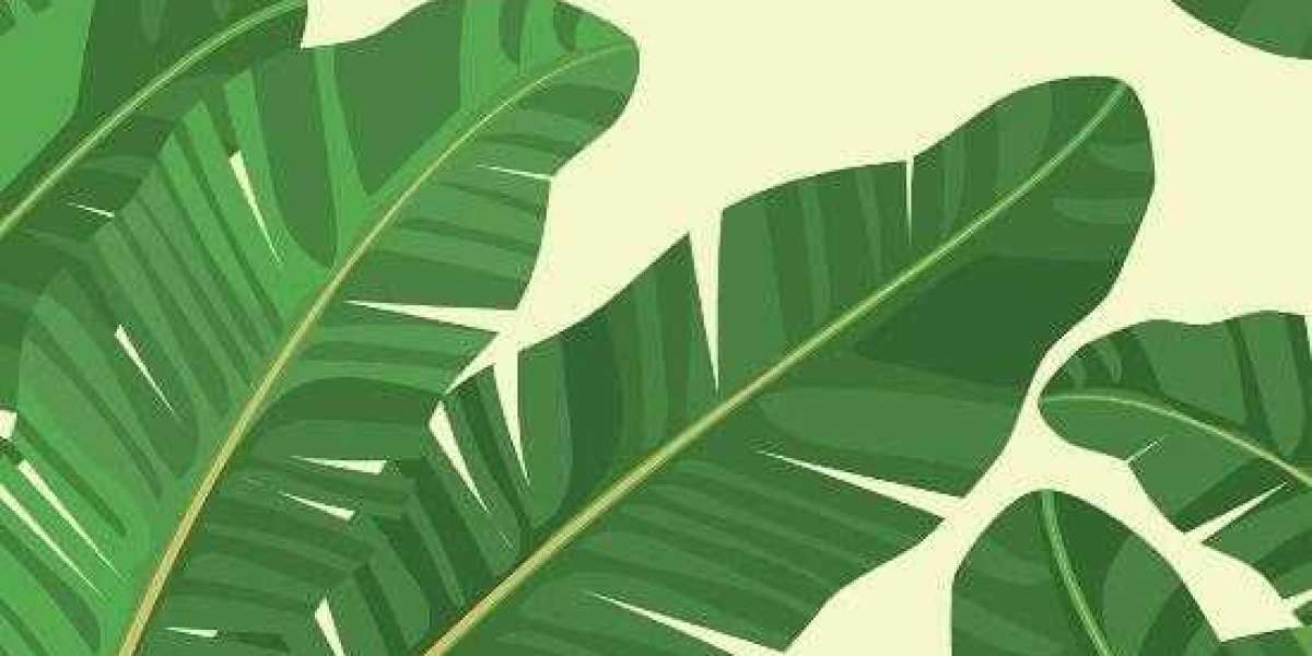 What Is Fair Market Price?