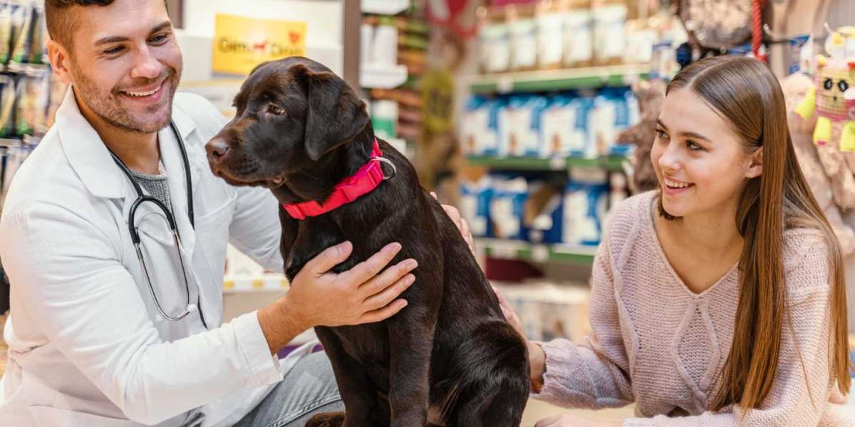 Safest Flea And Tick Collar For Dogs