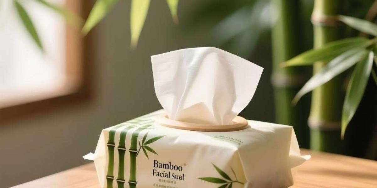 Building a Sustainable Brand: The Strategic Partnership with a Bamboo Tissue Paper Manufacturer
