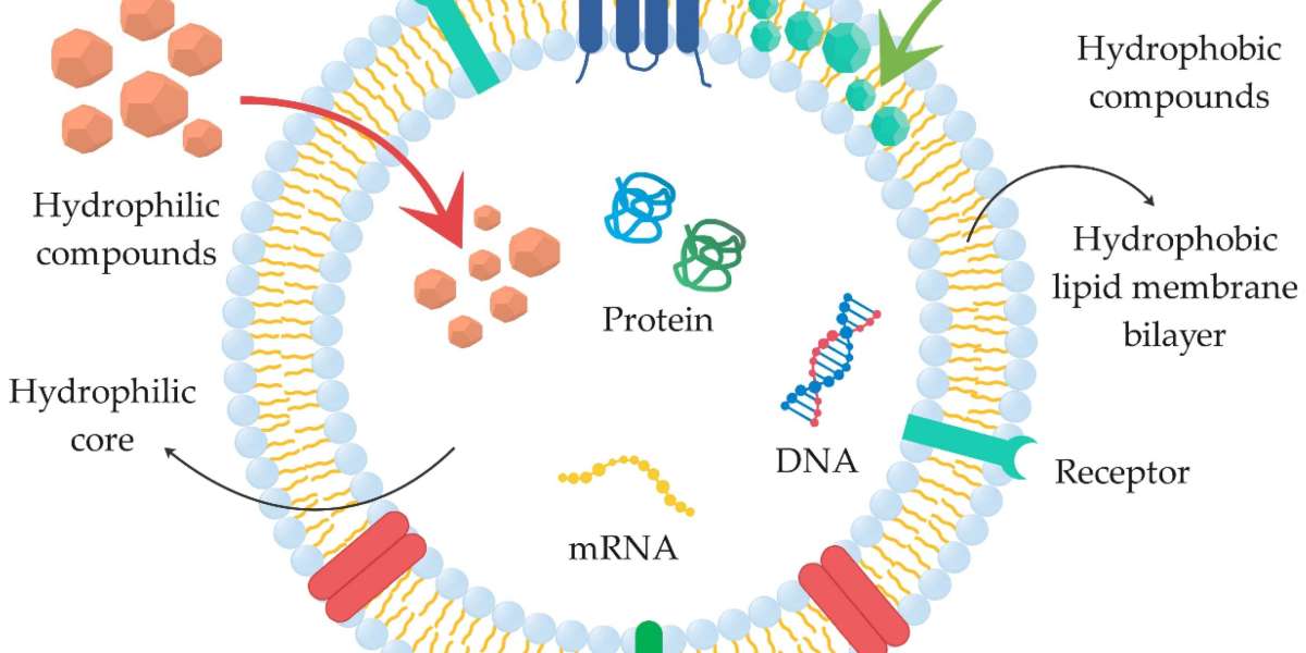 Clinical Standard Exosome API Research Therapeutic Use