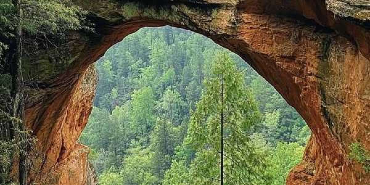 Friday Bantering: Arbitration, Bo