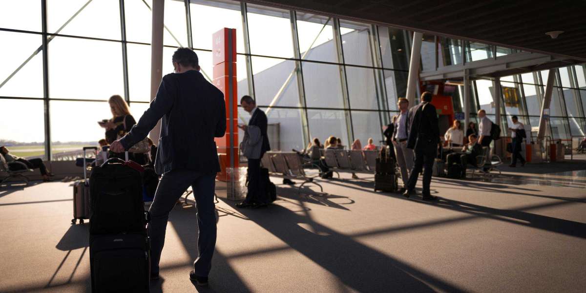 Best Luggage Brand for Every Travel Style