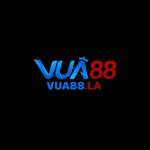 VUA88 LA Profile Picture