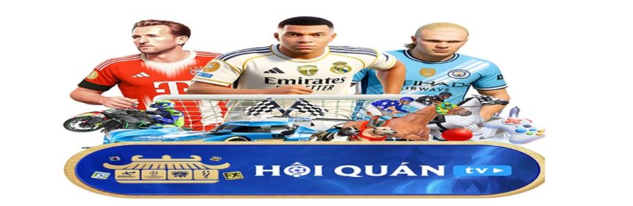 Hoiquantv 247com Cover Image