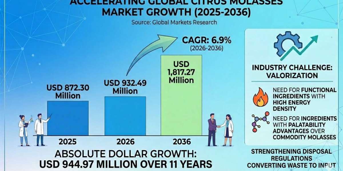 Citrus Molasses Market in South Korea to Reach USD 56.7 Million by 2036 as Natural Ingredient Demand and Industrial Appl