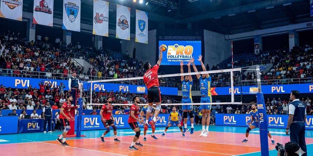 Pro Volleyball League Guide: Fairdeal 7 Login & Insights