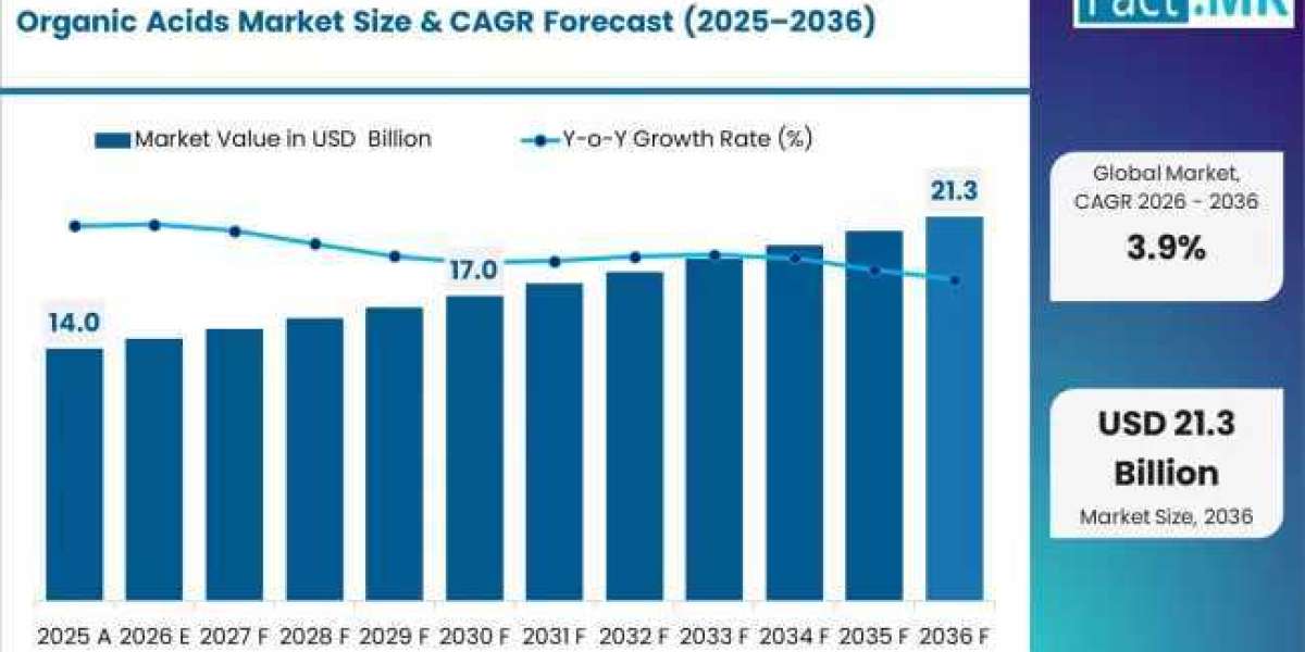 Global Organic Acids Market Forecast: Asia-Pacific Drives Demand for Bio-Based Acids with BASF, Cargill & Dow